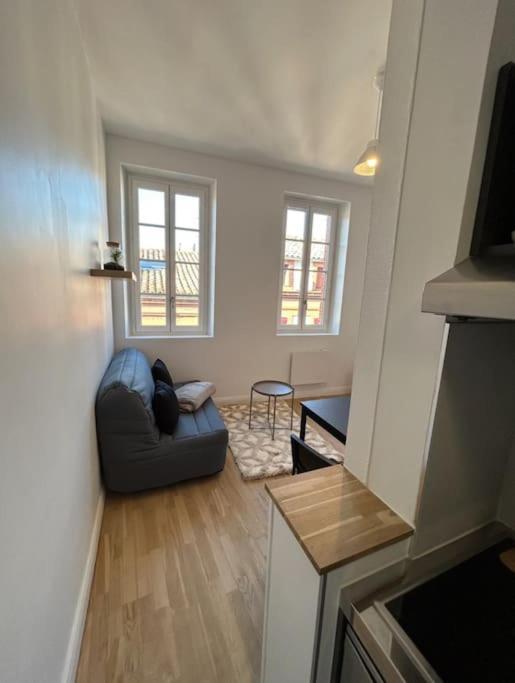 Le Studio Cygne Blanc Hypercentre Rue Riquet Toulouse Dış mekan fotoğraf
